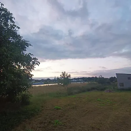 Oseraie - Wild Entre Liège Et Maastricht