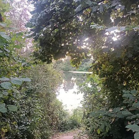 Oseraie - Wild Entre Liège Et Maastricht * Visé