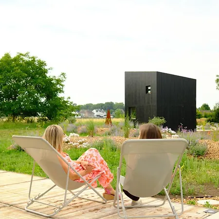 Oseraie - Wild Entre Liège Et Maastricht * Visé
